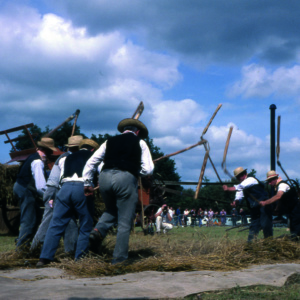 Battage Fléaux