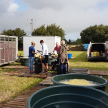 Pré-cuisson des frites