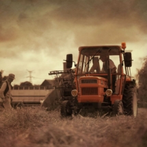 Vieux tracteur festival rétro calvados