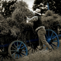 festival calvados