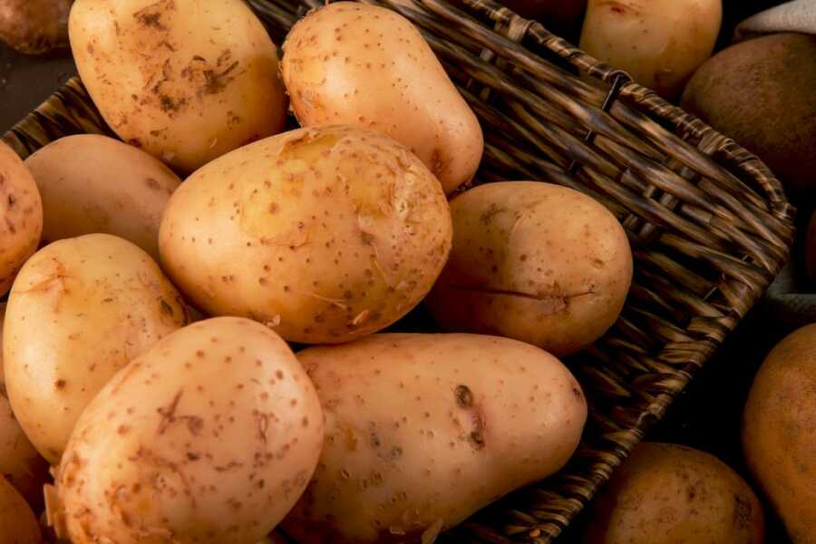 Brossage des pommes de terre